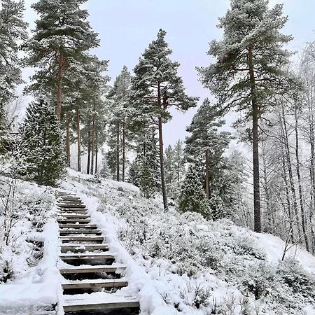Villa Laidike With Sauna/Fireplace, 80 Km Helsinki Suomusjarvi Exteriör bild