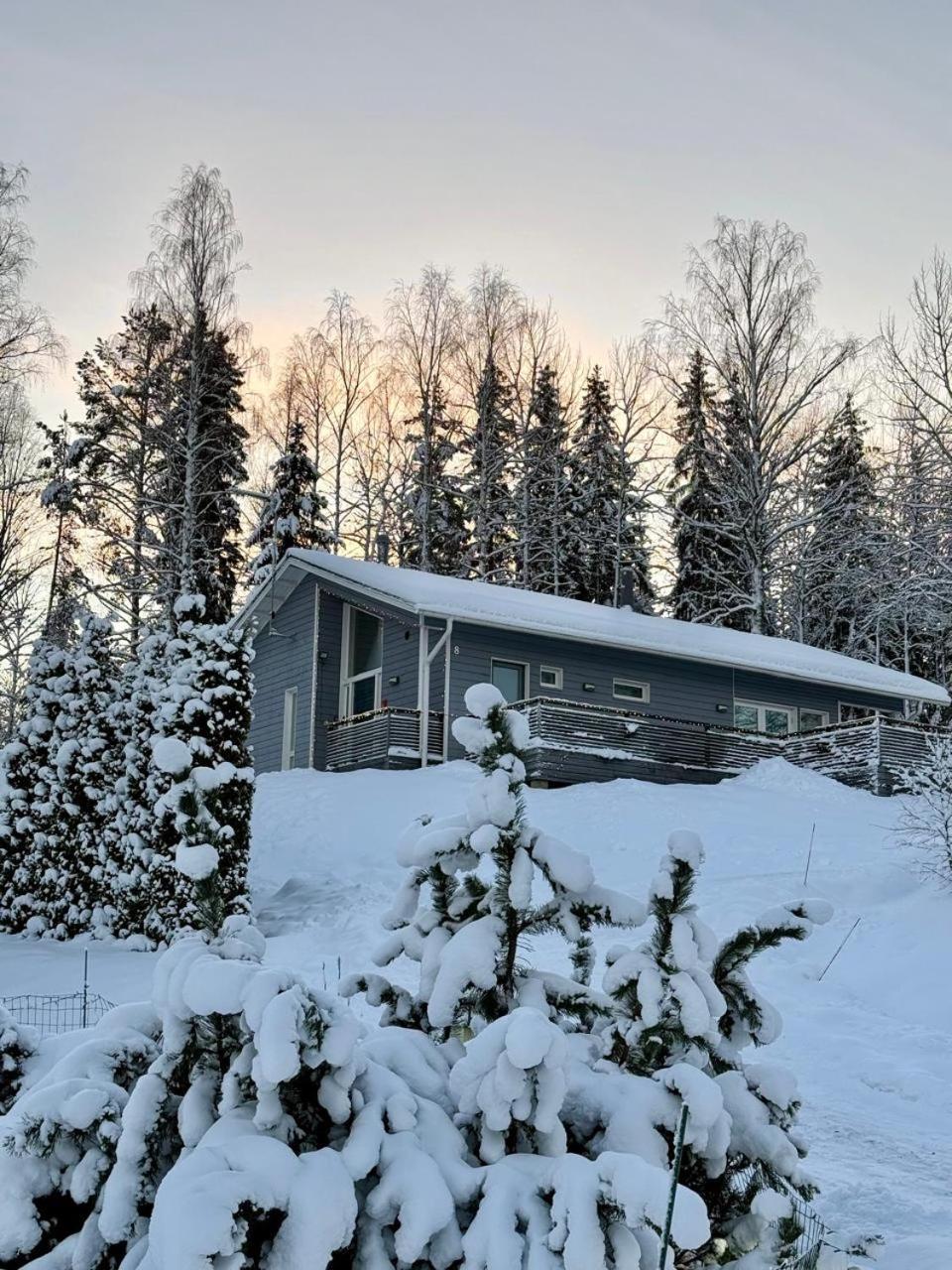 Villa Laidike With Sauna/Fireplace, 80 Km Helsinki Suomusjarvi Exteriör bild